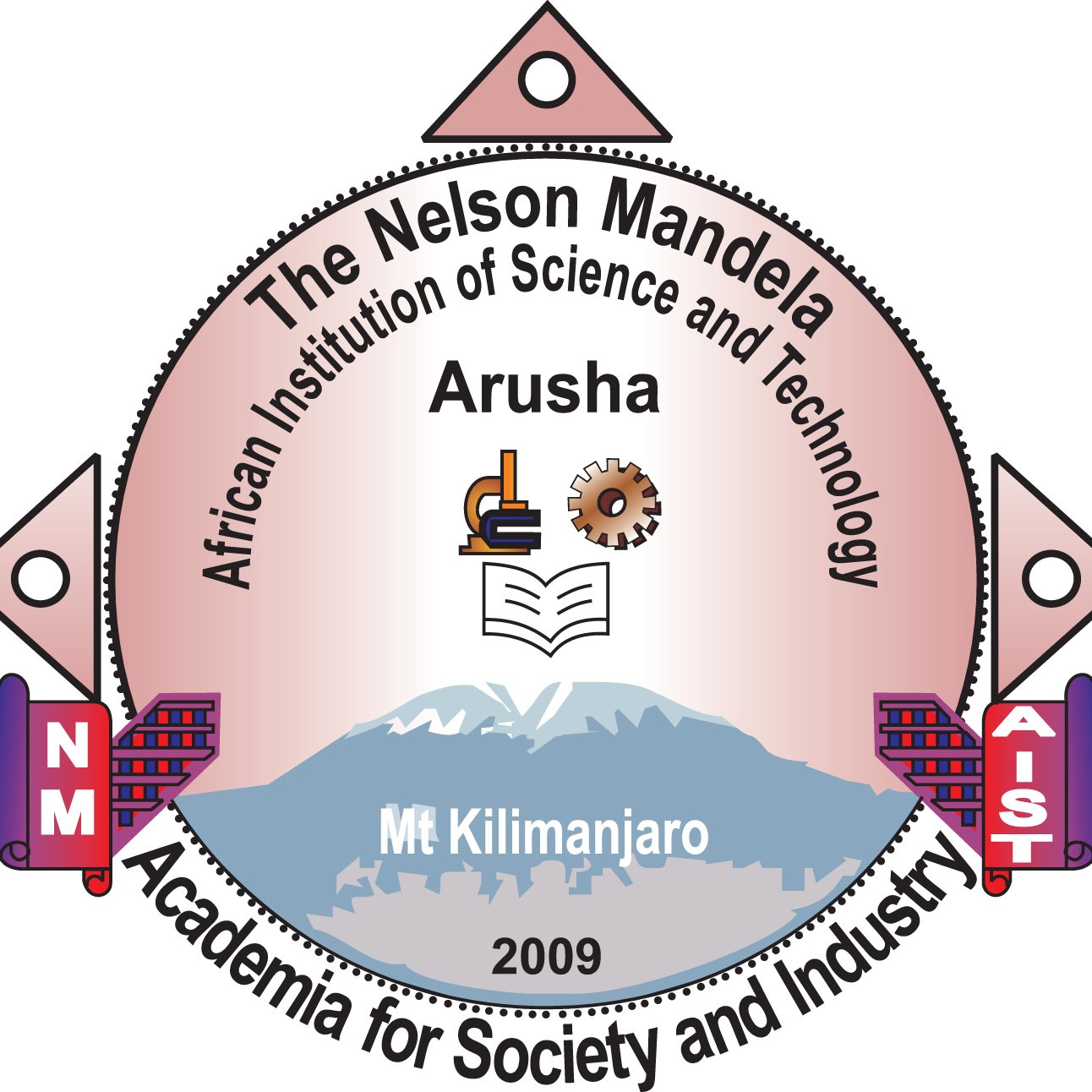 cPage NM-AIST Logo